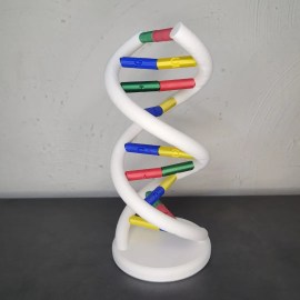 Anatomia Dupla Hélice Dna Humano - Modelo Anatômico